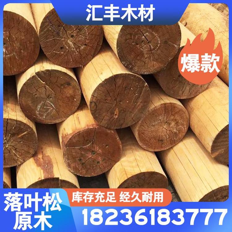 落叶松枕木  落叶松原木落叶原木  优质落叶松6M—70cm原木 落叶松防腐木落叶松原木批发