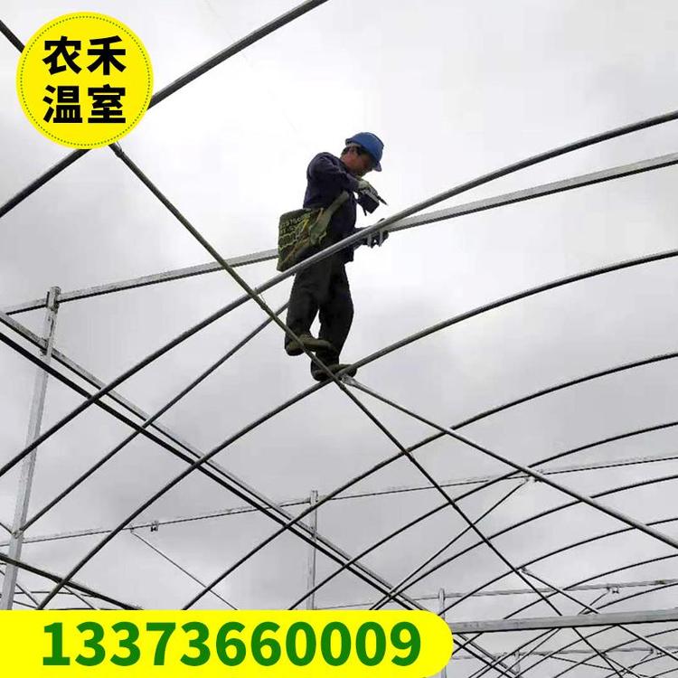 厂家直销按需定制蔬菜大棚工艺成熟 连栋大棚支持定制