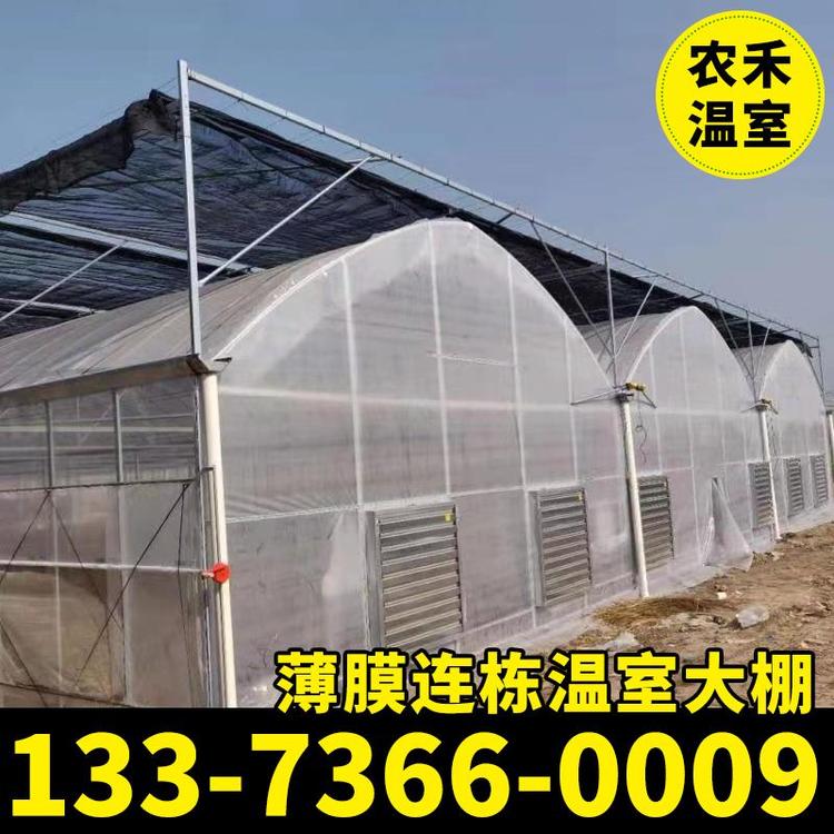 江苏厂家供应江苏农禾温室工程热镀锌蔬菜大棚支持定制 温室大棚欢迎采购