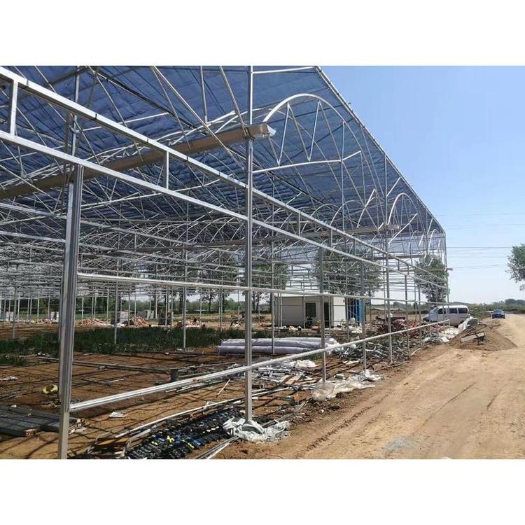 拱形连栋薄膜温室承接  薄膜温室建造商 简易温室大棚报价