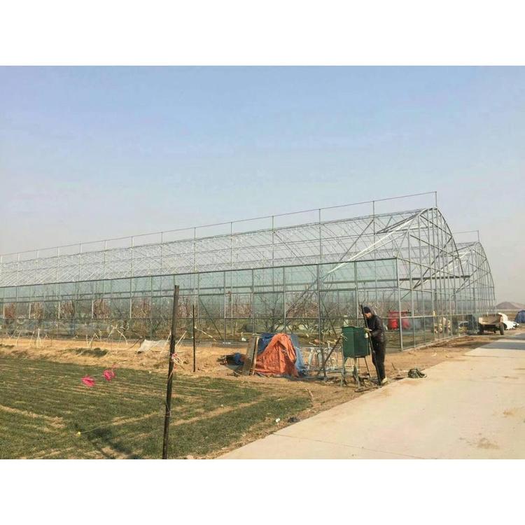薄膜温室  拱形连栋薄膜温室建设 连栋薄膜温室建造商