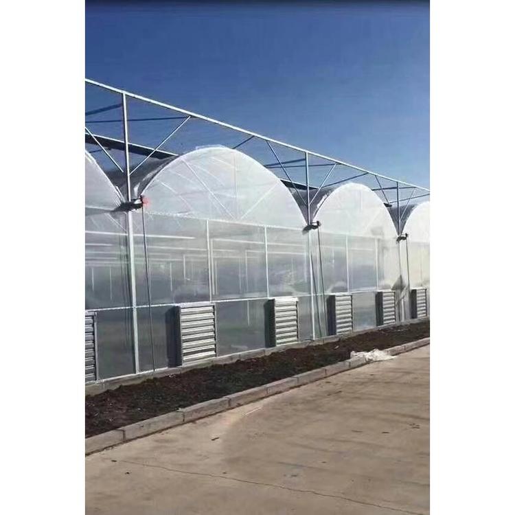 温室建造商  山水合承接 拱形连栋薄膜温室建造 连栋薄膜温室设计