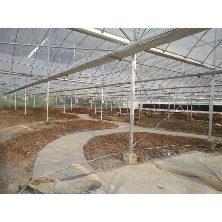 连栋温室大棚  塑料薄膜大棚   拱形温室建造商