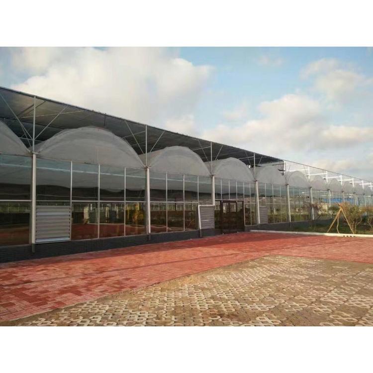 青州通长或交错拱形连栋薄膜温室承接 拱形建造商