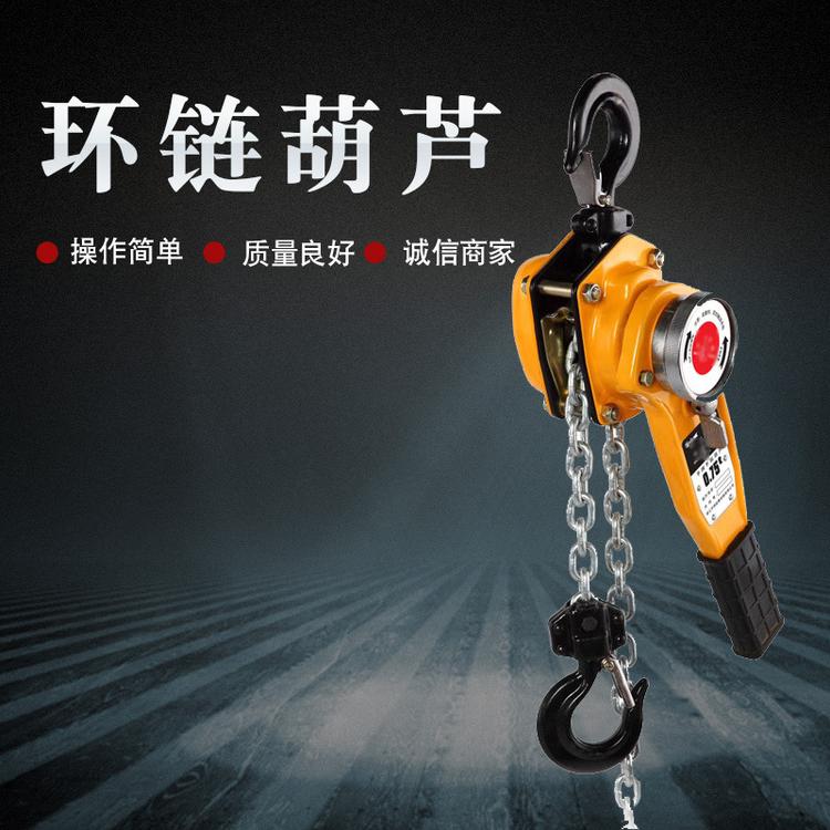环链葫芦倒链链条式提升机变频双速环链电动葫芦固定式起升吊机