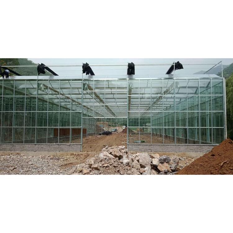 建造玻璃温室 玻璃棚建设 质量良好的玻璃温室建设