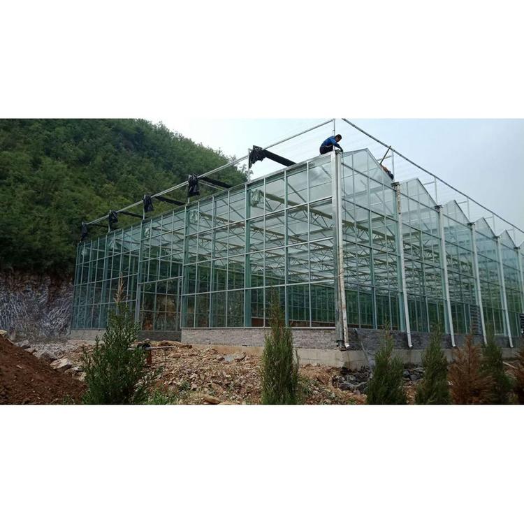 花卉玻璃温室 蔬菜玻璃温室 玻璃温室成本 玻璃温室建造商