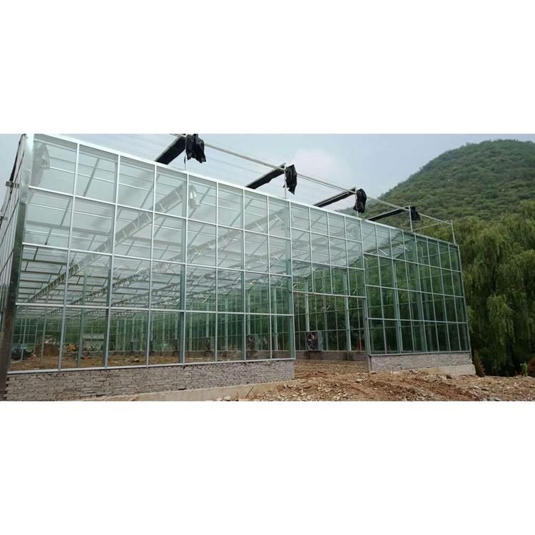 玻璃温室造价 玻璃文洛温室设计 承建玻璃温室大棚
