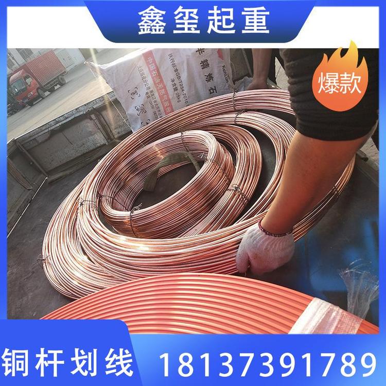 鑫玺起重 批发220°C以下1-2铜杆划线厂家直销 漆包线铜线  起重机配件厂家