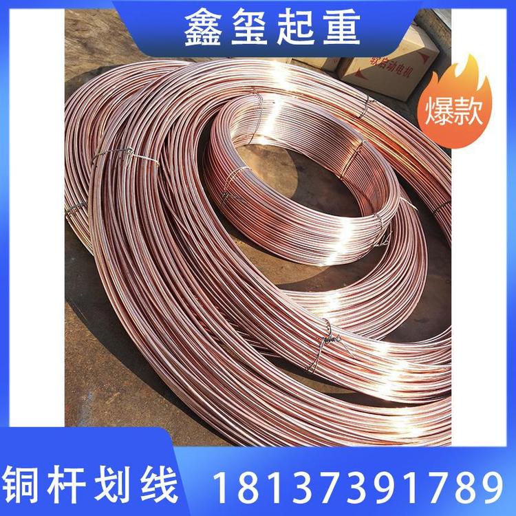 鑫玺起重  铜杆滑线  铜杆滑触线  铜杆滑线价格  龙门吊铜滑线 铜杆滑线无锡铜滑触线  无接缝滑线铜杆滑线 龙门吊铜杆滑线  铜杆滑线厂家    起重厂家