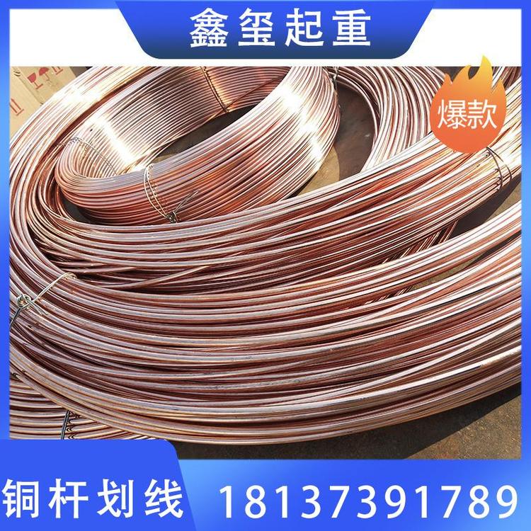 鑫玺起重  铜杆滑线 铜杆滑触线  龙门吊铜滑线 铜杆滑线无锡铜滑触线  无接缝滑线铜杆滑线   龙门吊铜杆滑线    起重厂家  铜杆滑线价格  铜杆滑线厂家