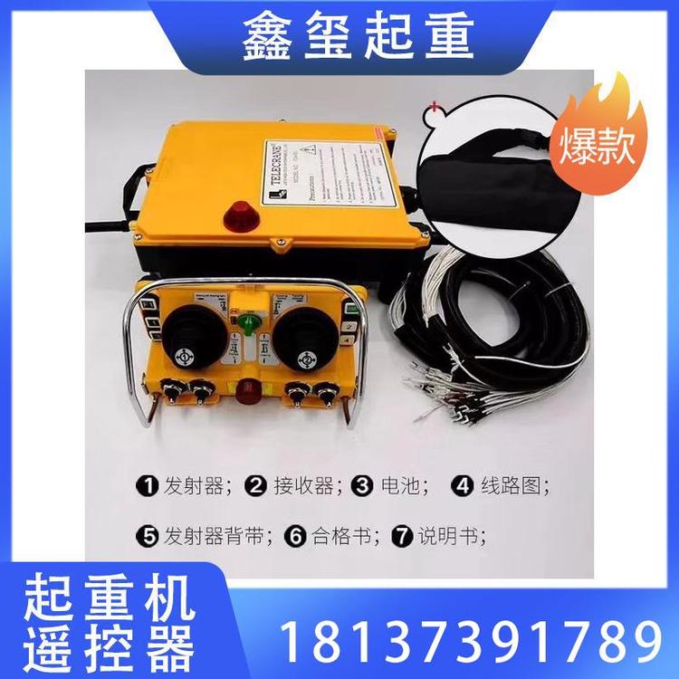 鑫玺起重 起重机遥控器 工业遥控器 厂家现货供应 专业起重机遥控器批发 行车遥控器  起重配件厂家 厂家供应-35~85起重机遥控器大量供应 起重机无线遥控器