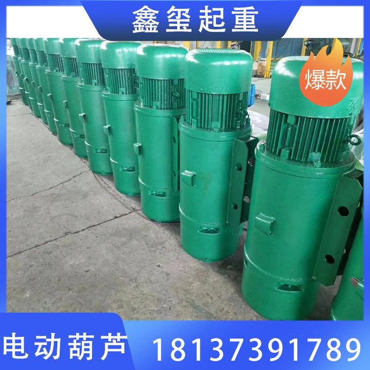鑫玺起重  电动葫芦  现货出售100059电动葫芦   电动葫芦价格 防爆环链电动葫芦  各种型号电动葫芦   起重机厂家 小型电动葫芦  厂家直销