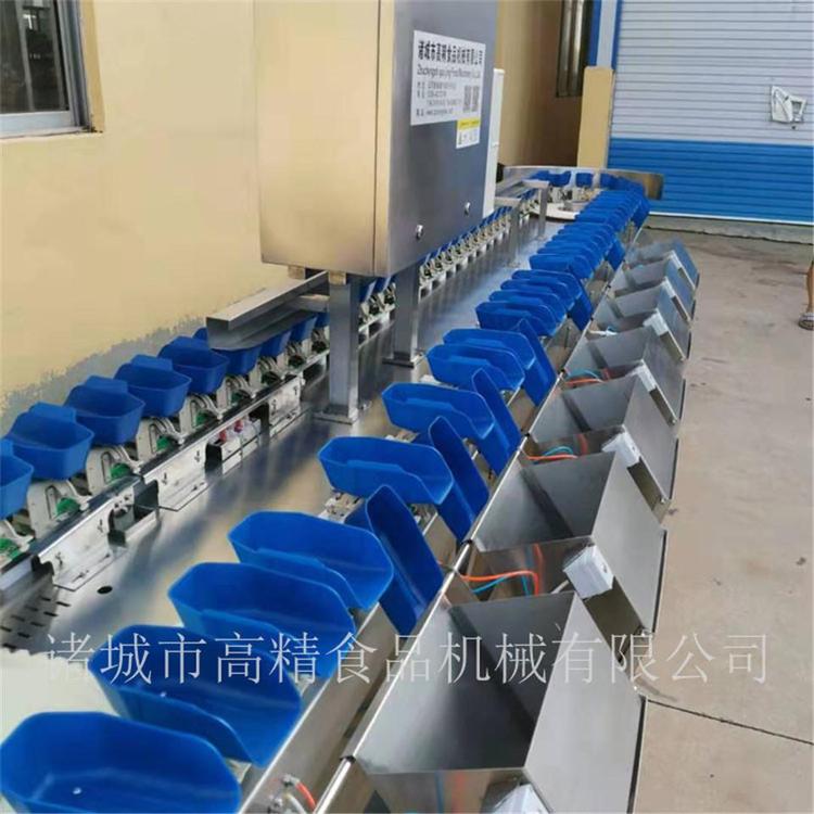 专用重量分级机制造商  海蛎子大小分选机 供应商