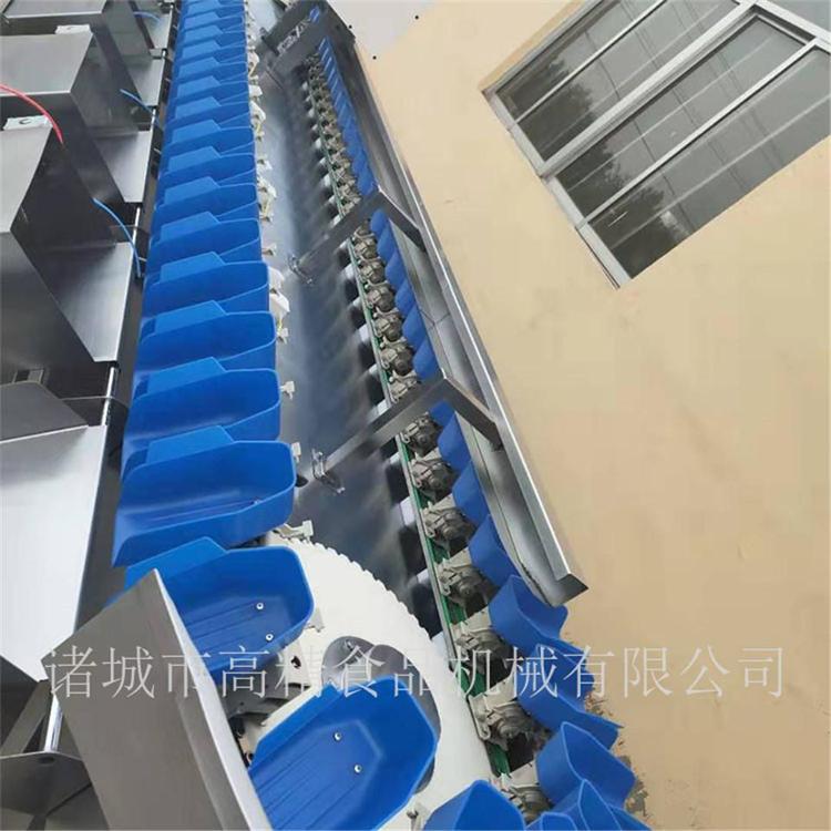 数量定量/重量定量重量分级机生产厂家 海蛎子称重分选机制造商