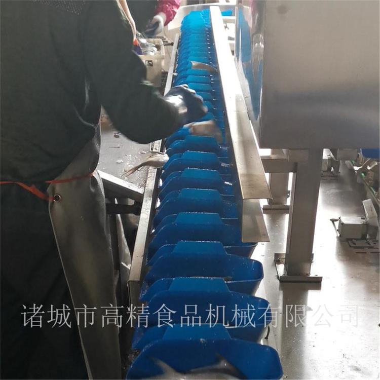 销售  蓝色托盘分级机   质量可信可靠 定量分选机