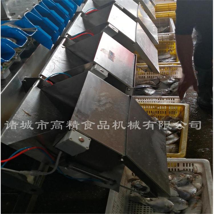 哪里卖定量蓝色托盘分级机  水产重量分级机  全国发货
