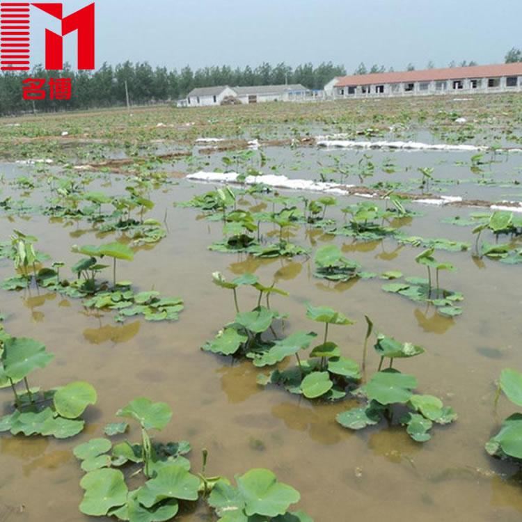 陕西防渗膜_鱼塘人工湖养殖防渗膜_藕池防渗膜_HDPE土工膜