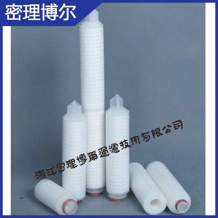 聚四氟乙烯膜PTFE折叠筒式滤芯 除菌滤芯 折叠微孔滤芯