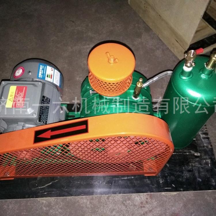 低噪音电厂用三叶罗茨风机锅炉用罗茨鼓风机回转式鼓风机的参数