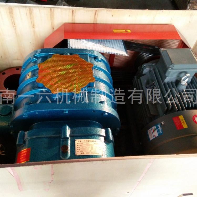 厂家直销电厂用三叶罗茨鼓风机污水处理专用罗茨风机罗茨真空泵技术
