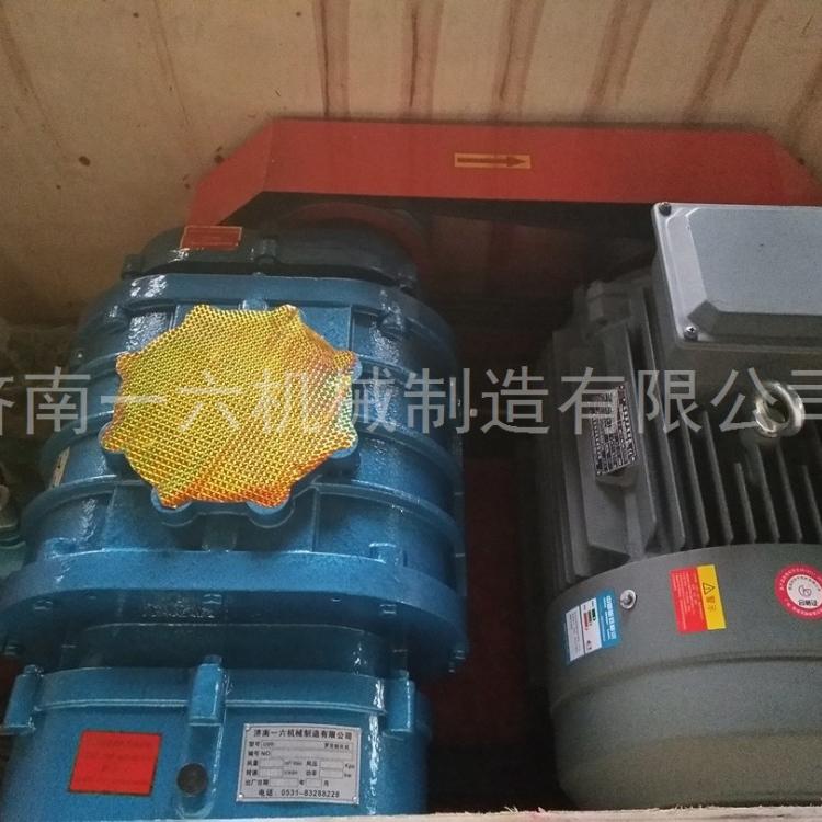 厂家直销锅炉用罗茨鼓风机镀锌厂罗茨风机污水用罗茨风机厂家
