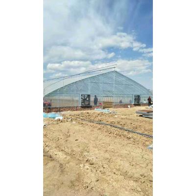 想建造日光温室—就找日光温室建造商—鑫创