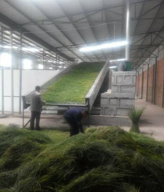 网带烘干箱_网带烘干机_果蔬网带烘干箱_食品网带烘干箱