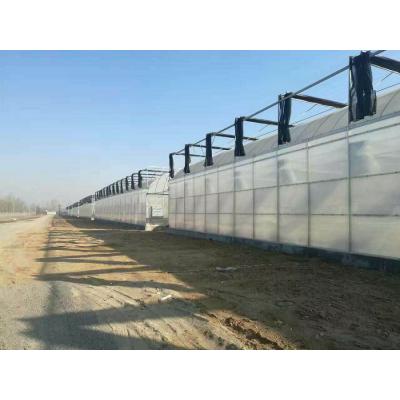看过来：连栋薄膜温室建造商—选鑫创温室