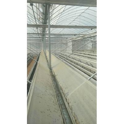 建造连栋薄膜温室  连栋温室  价格优惠   优良质量