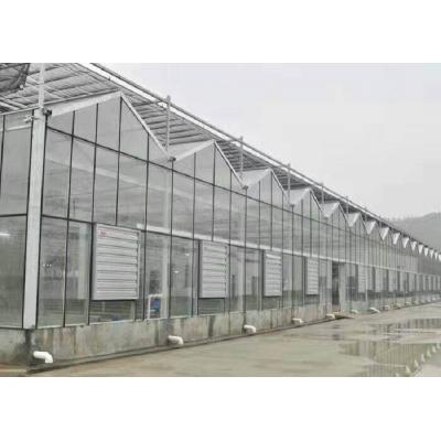 玻璃温室造价  玻璃大棚建造商  鑫创温室
