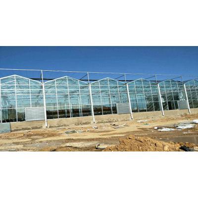 玻璃大棚建造商就选鑫创温室  施工快  质量优