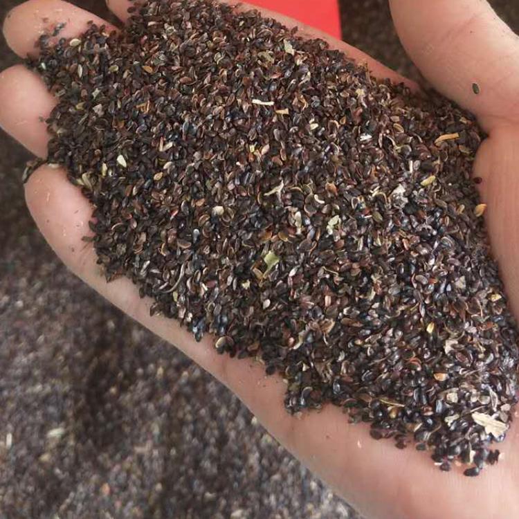 当年桔梗苗出售包技术指导