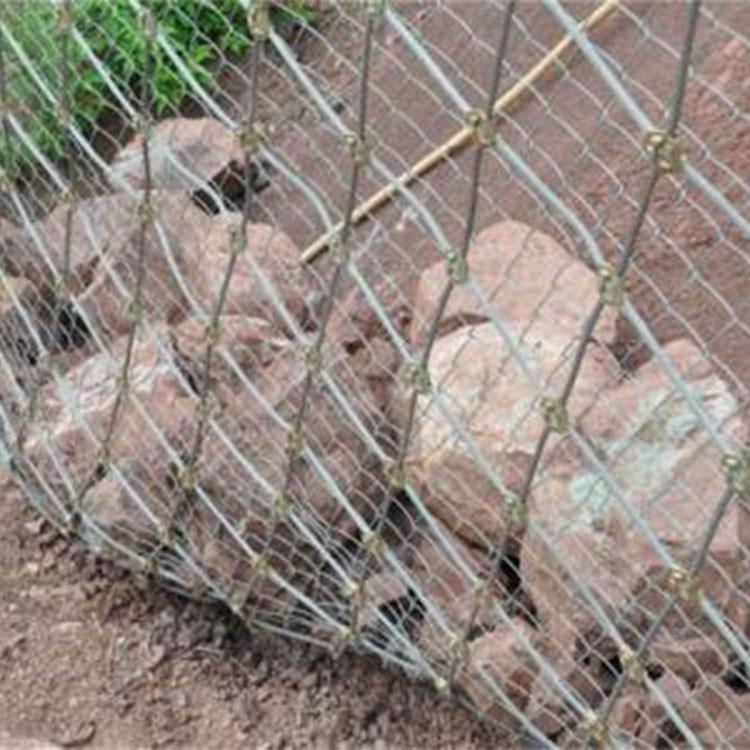 四川边坡绿化防护网-成都拦石护坡网-四川边坡防护网优质厂家