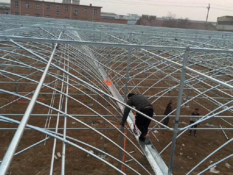 建连栋温室大棚  找鑫创—连栋温室大棚建造商