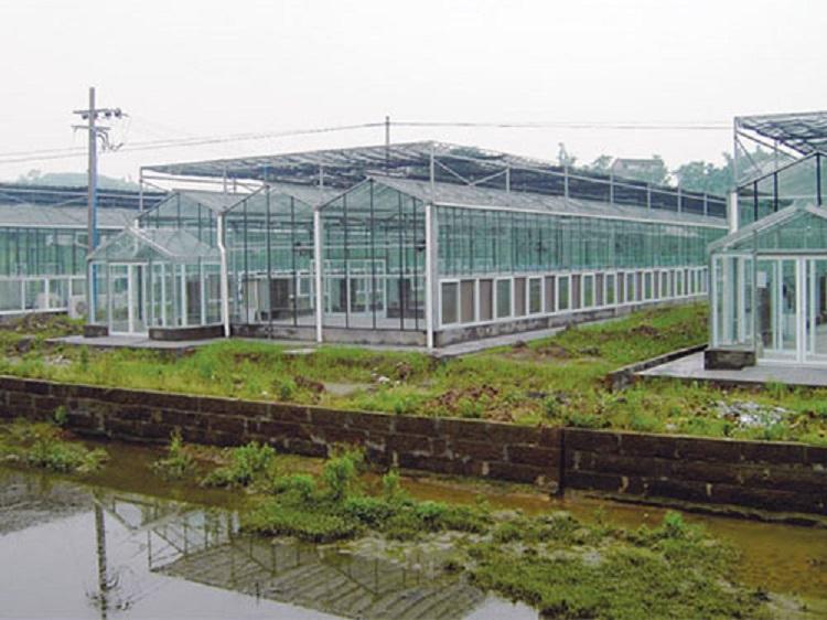 文洛式阳光板温室建造  阳光板温室设计  鑫创温室