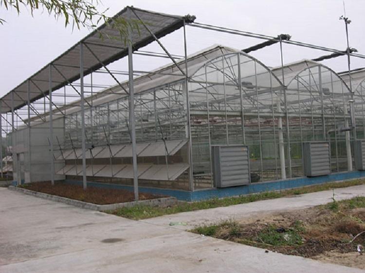 阳光板温室建造商  鑫创温室承建阳光板温室