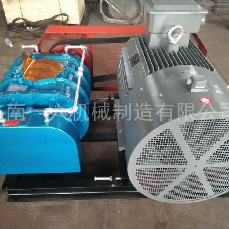 助燃三叶罗茨风机型号