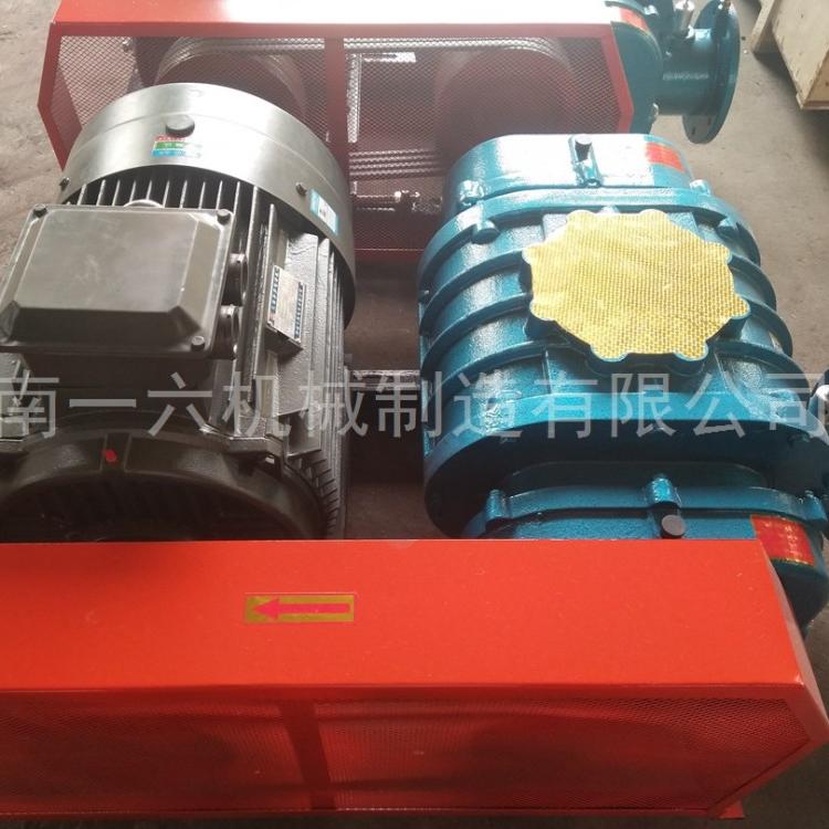 双油箱水处理罗茨鼓风机特殊气体专用罗茨风机电厂三叶罗茨风机产品
