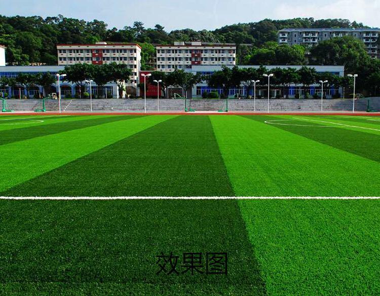 四川成都人造草坪_仿真球场草坪_运动足球草坪施工一条龙服务