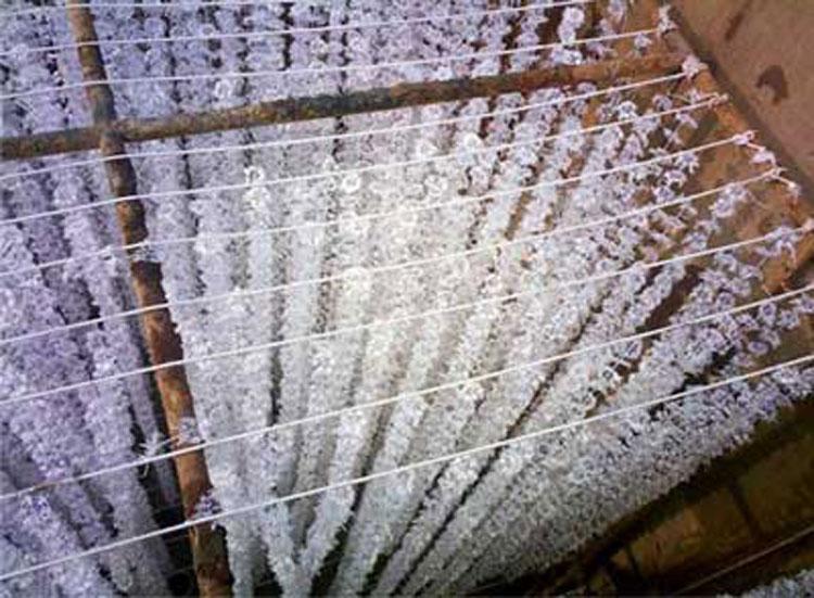 组合式填料 污水池组合填料 污水生化处理 夹片维纶醛化丝