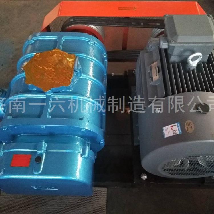 厂家直销增氧罗茨鼓风机洗煤专用三叶罗茨鼓风机除尘鼓风机产品