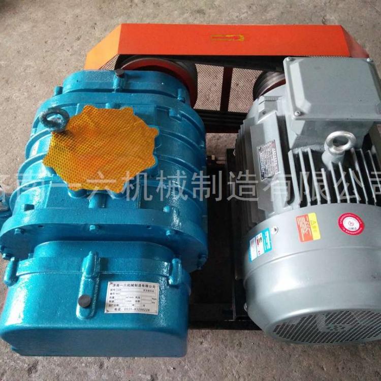 低噪音水锤里专用罗茨鼓风机造纸厂用三叶罗茨鼓风机特殊气体罗茨鼓风机参数