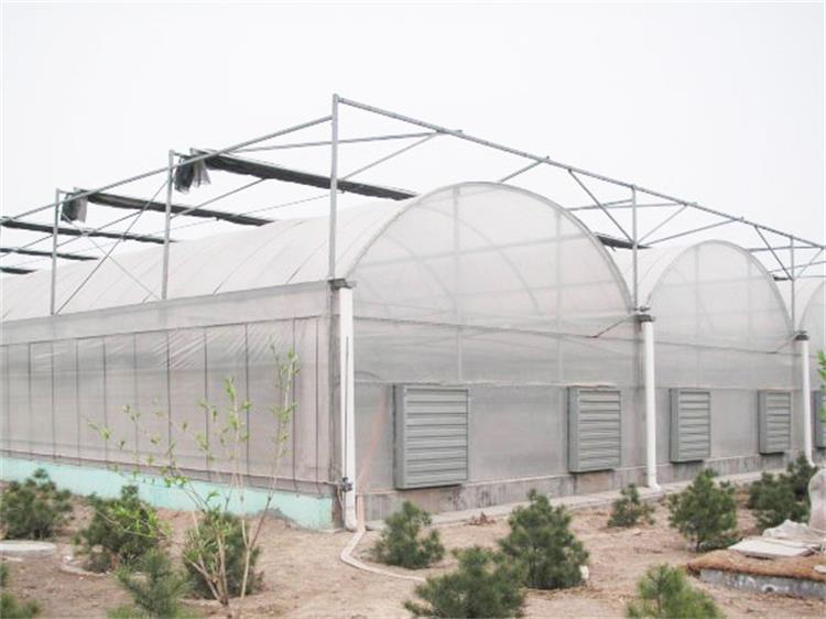 薄膜连栋温室 薄膜连栋大棚 山东薄膜连栋温室建设建造