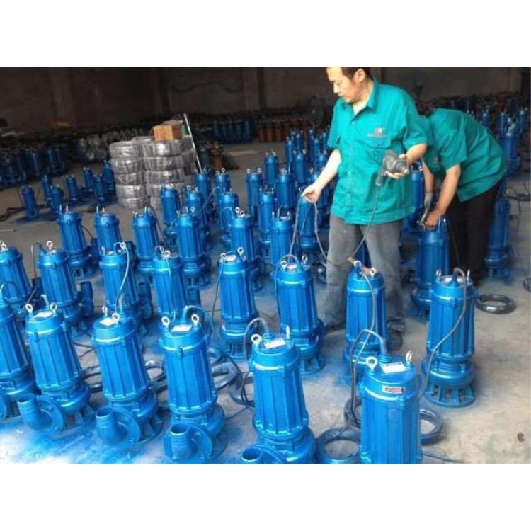 长期供应潜污泵QW系列潜水排污泵排水潜污泵厂家