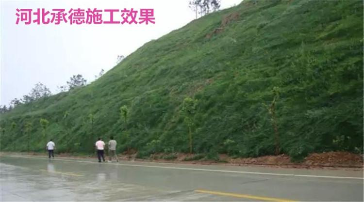 ZKP-130客土喷播机
