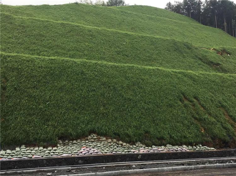 青山绿水边坡绿化ZKP-80170客土喷播机 青山绿水 大型喷播机 小四缸柴油机 喷播施工 垃圾场掩埋绿化