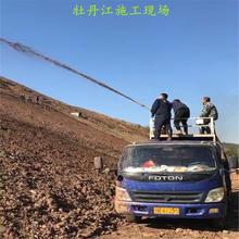 青山绿水边坡绿化ZKP-80170客土喷播机 青山绿水 小型喷播机 ZKP-80170 现货 风电项目绿化