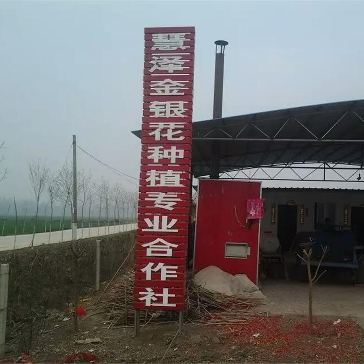 厂家直销菊花烘干机-玫瑰花脱水机-茶叶烘干箱-中药材烘干设备