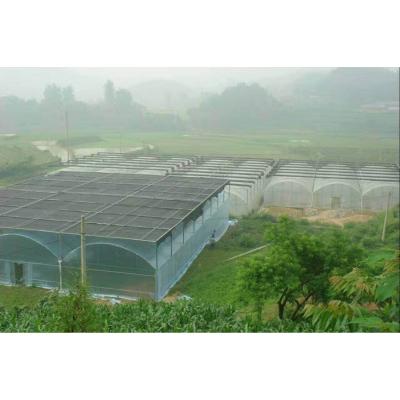 双拱双膜温室建造—双拱双膜温室建造商